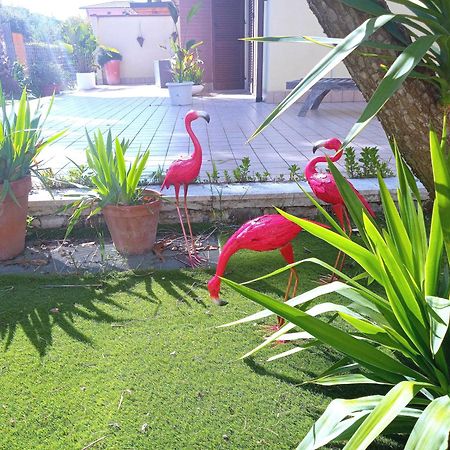 Apartmán Casa Giardino San Benedetto del Tronto Exteriér fotografie