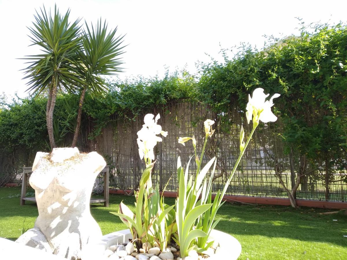 Apartmán Casa Giardino San Benedetto del Tronto Exteriér fotografie