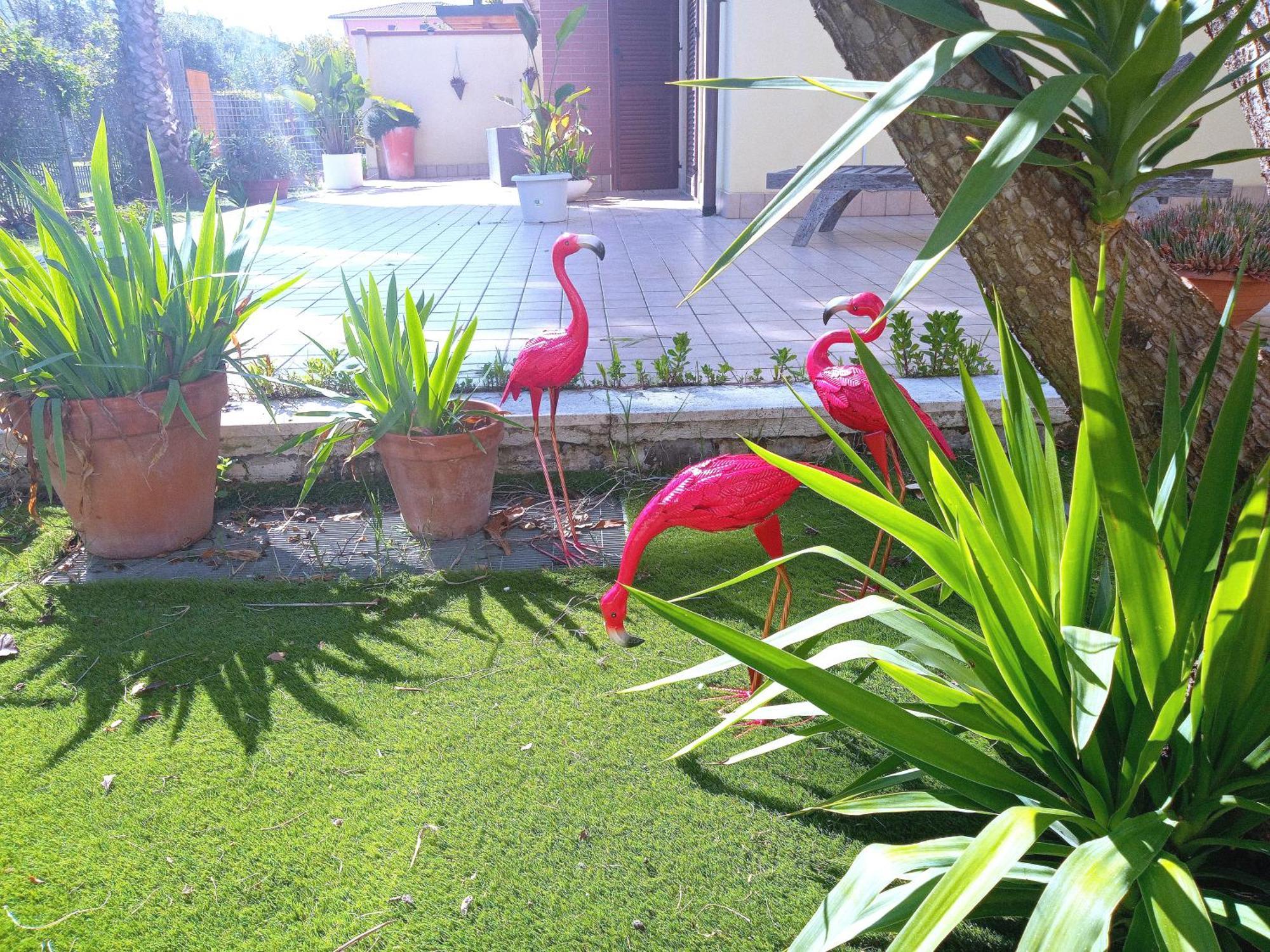 Apartmán Casa Giardino San Benedetto del Tronto Exteriér fotografie